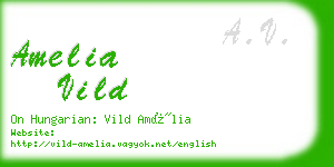 amelia vild business card